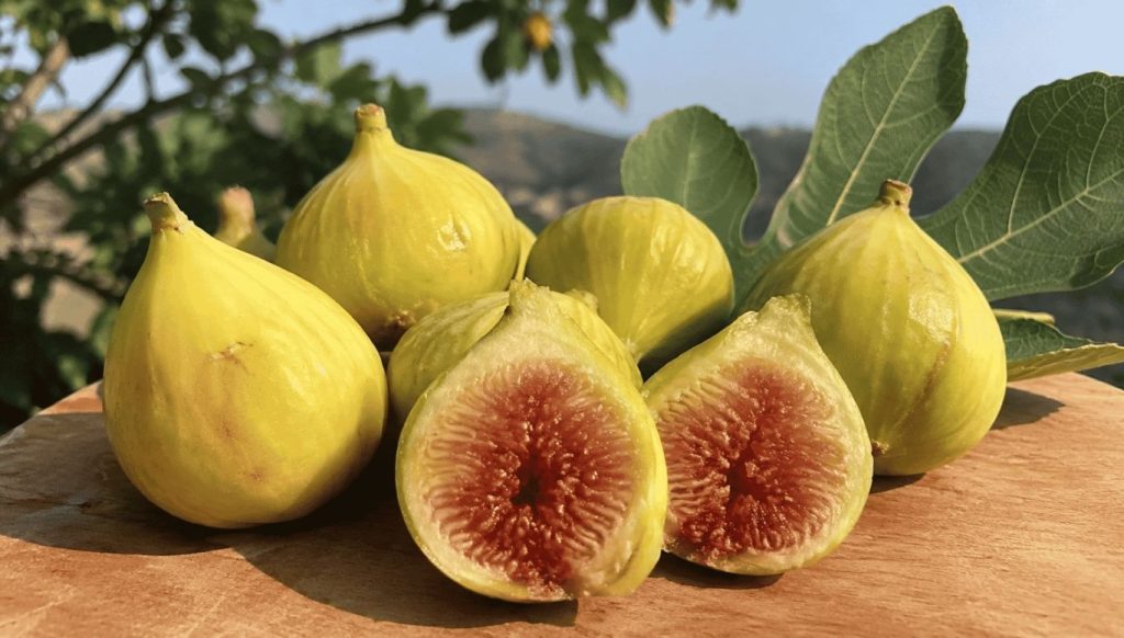 Byadi